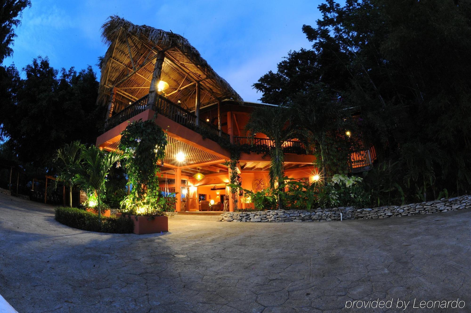 Machaca Hill Rainforest Canopy Lodge Punta Gorda Eksteriør bilde