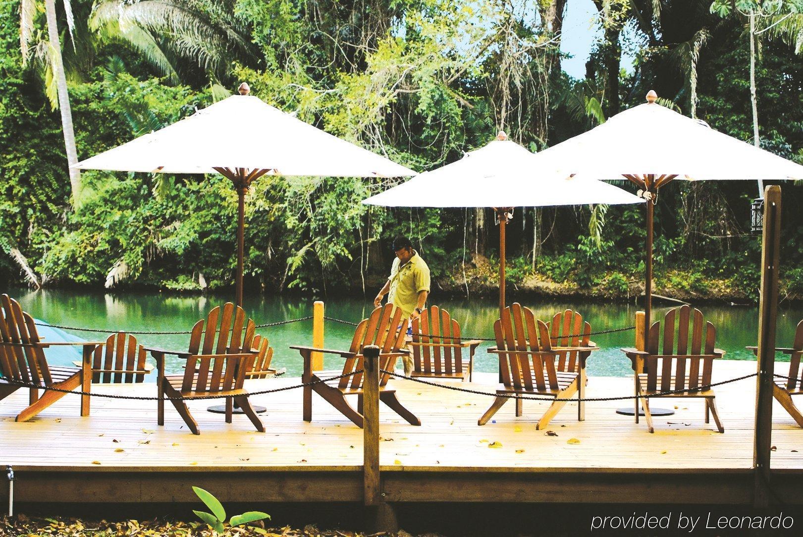Machaca Hill Rainforest Canopy Lodge Punta Gorda Eksteriør bilde