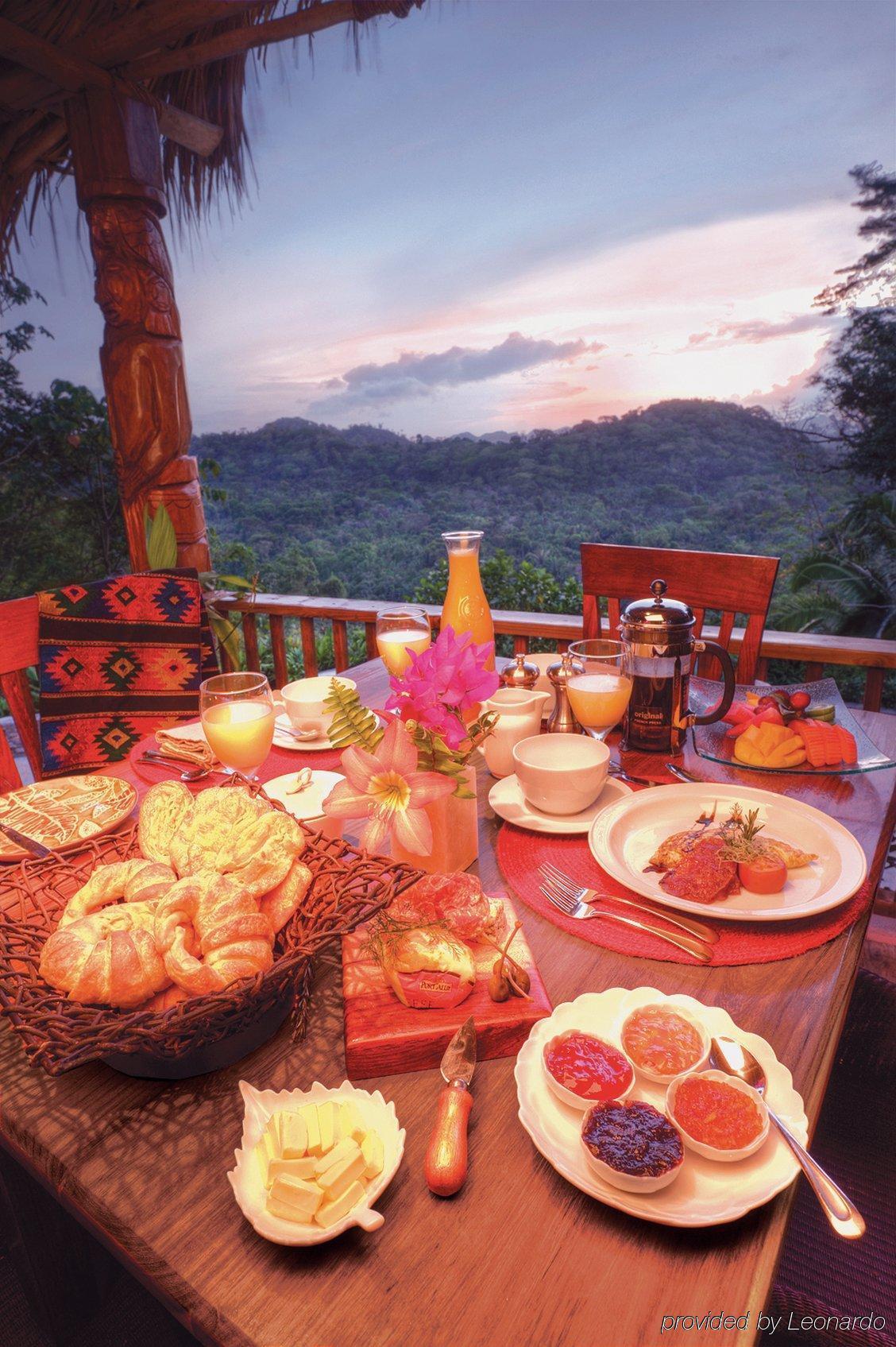 Machaca Hill Rainforest Canopy Lodge Punta Gorda Eksteriør bilde