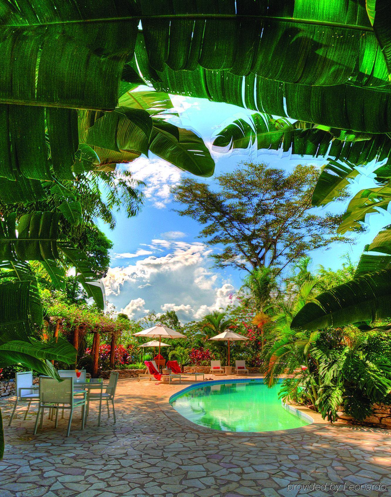 Machaca Hill Rainforest Canopy Lodge Punta Gorda Eksteriør bilde