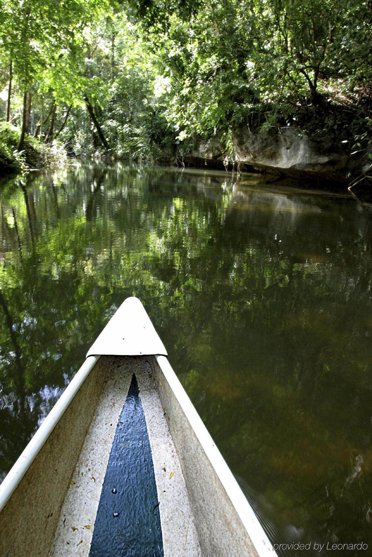 Machaca Hill Rainforest Canopy Lodge Punta Gorda Eksteriør bilde