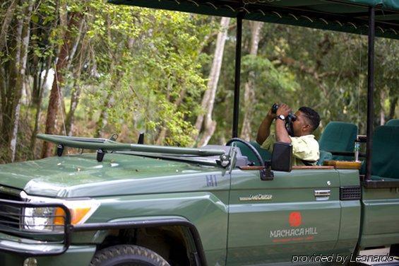 Machaca Hill Rainforest Canopy Lodge Punta Gorda Eksteriør bilde
