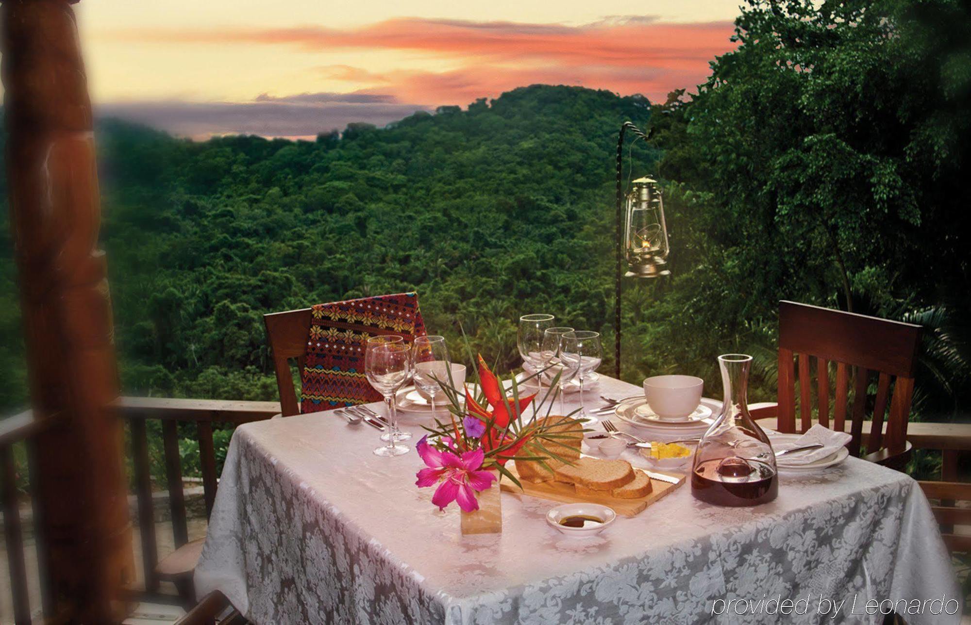 Machaca Hill Rainforest Canopy Lodge Punta Gorda Eksteriør bilde