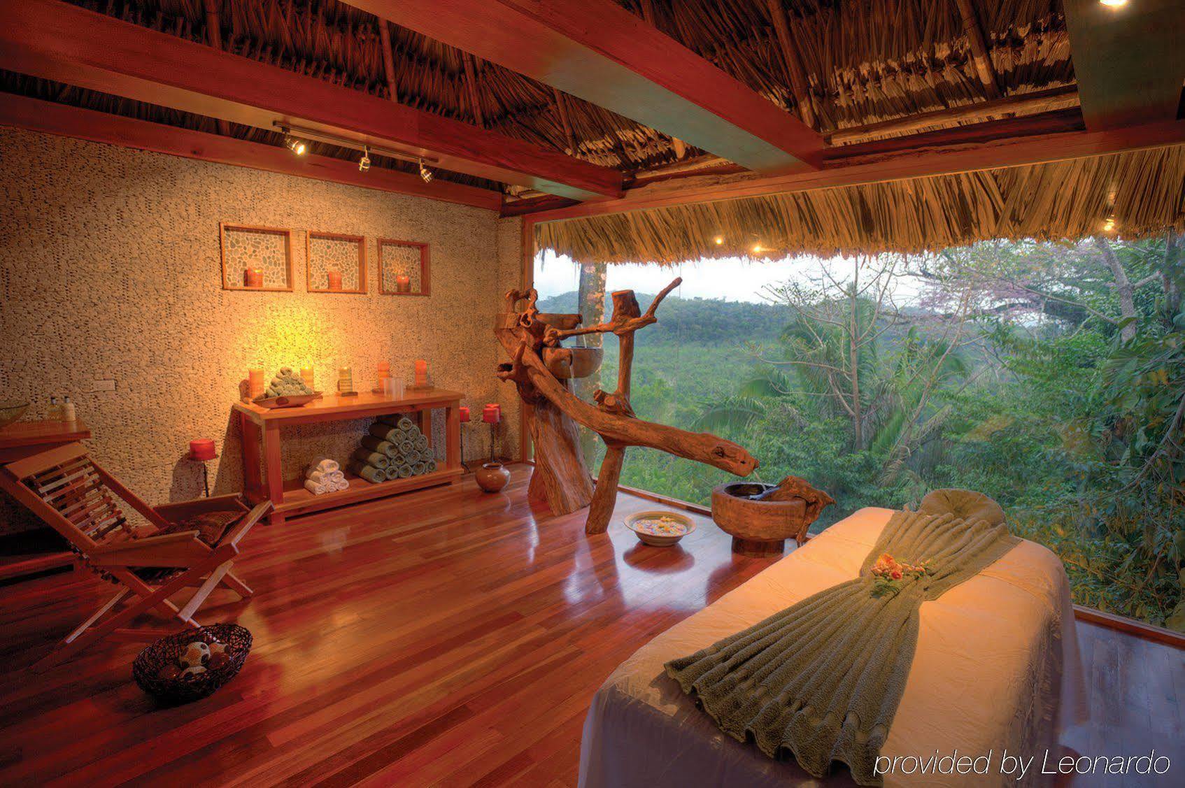 Machaca Hill Rainforest Canopy Lodge Punta Gorda Eksteriør bilde