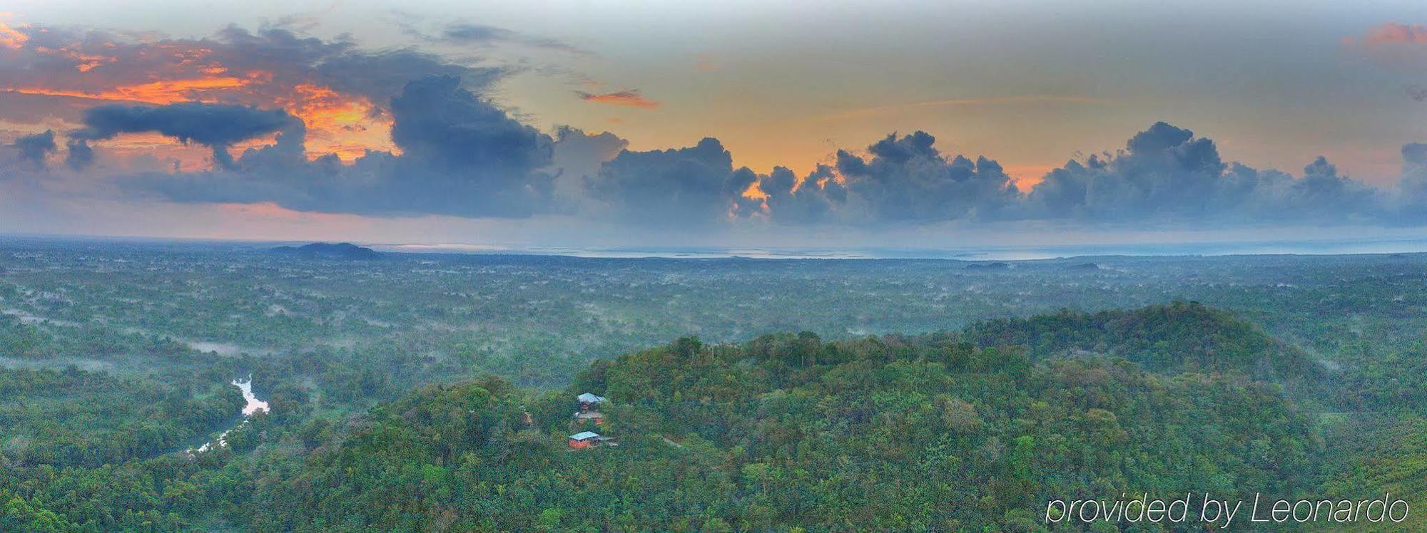 Machaca Hill Rainforest Canopy Lodge Punta Gorda Eksteriør bilde